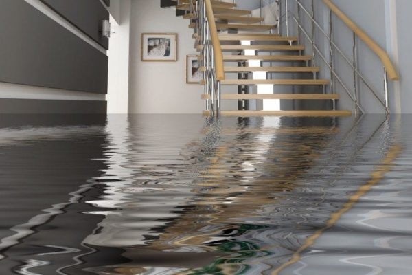 How to Spot Hidden Water Damage in Your Bronx Property