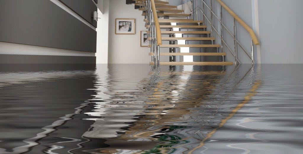 How to Spot Hidden Water Damage in Your Bronx Property