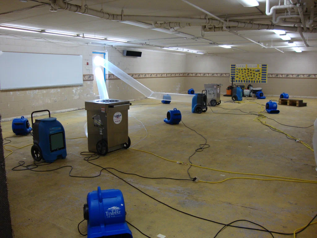 Key Traits to Look for in a Water Damage Restoration Company